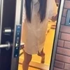 【新人】如月 梅子