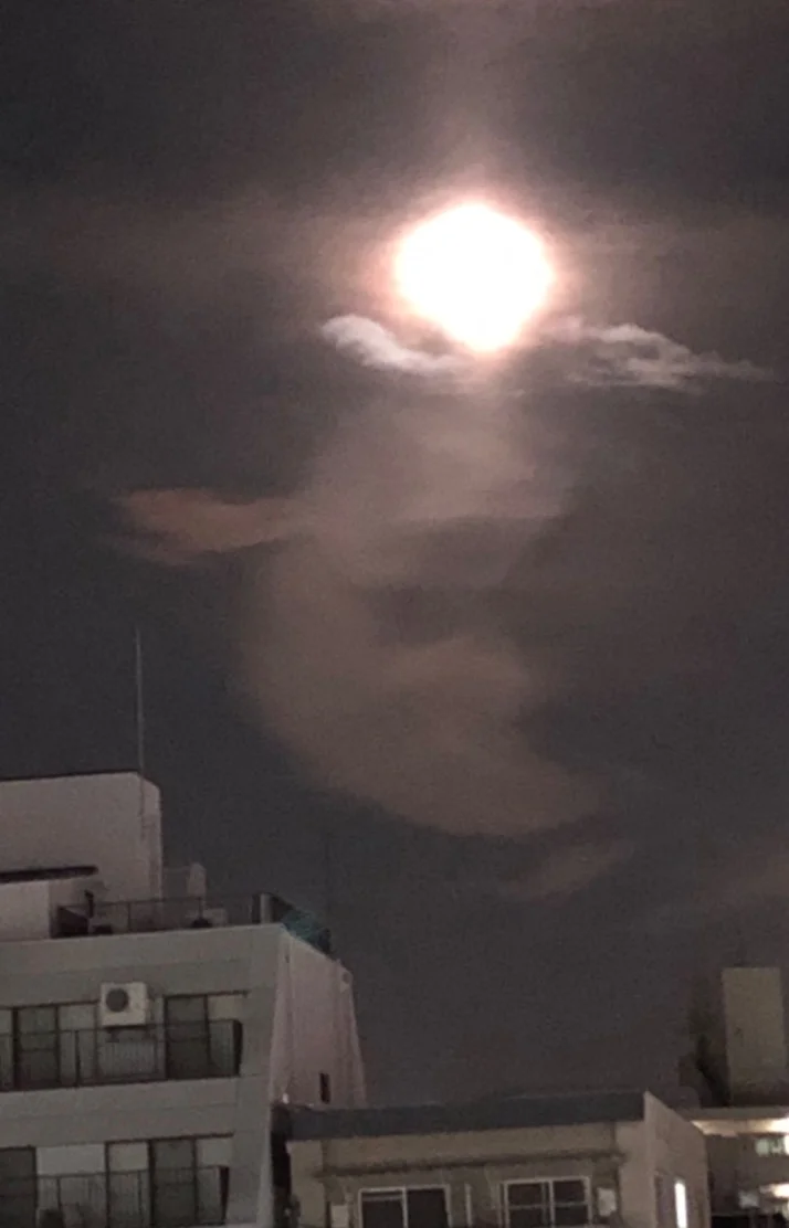 出勤してます