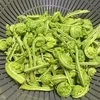 次は来春かなあ🍃のサムネイル