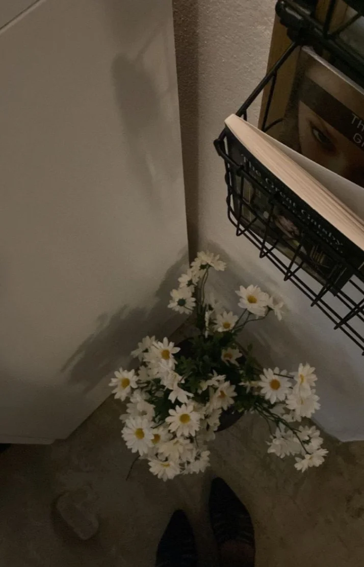 💌🕊