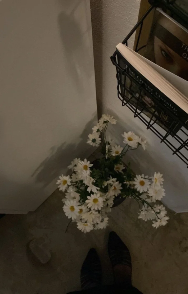 💌🕊
