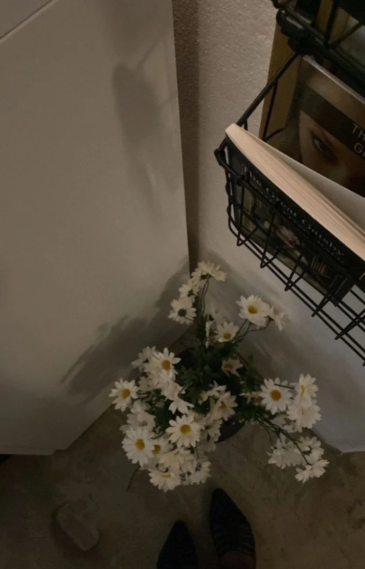 💌🕊