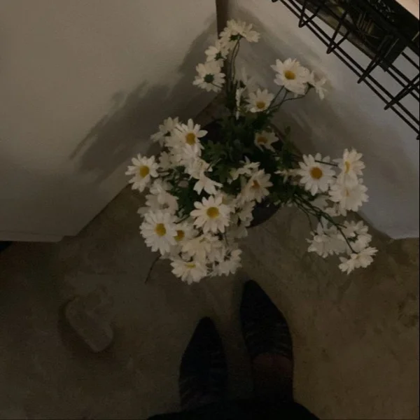୨୧ 𝟗月𝟓日のお礼 ୨୧