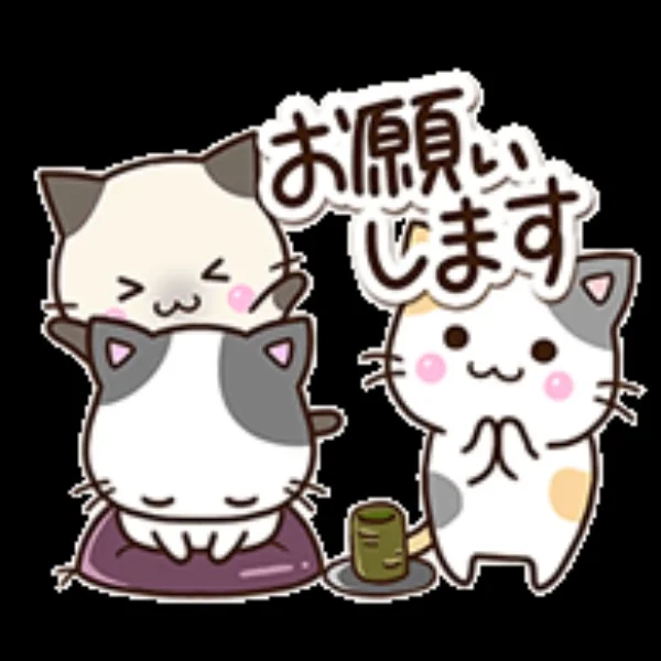 宜しくお願いします♡♡