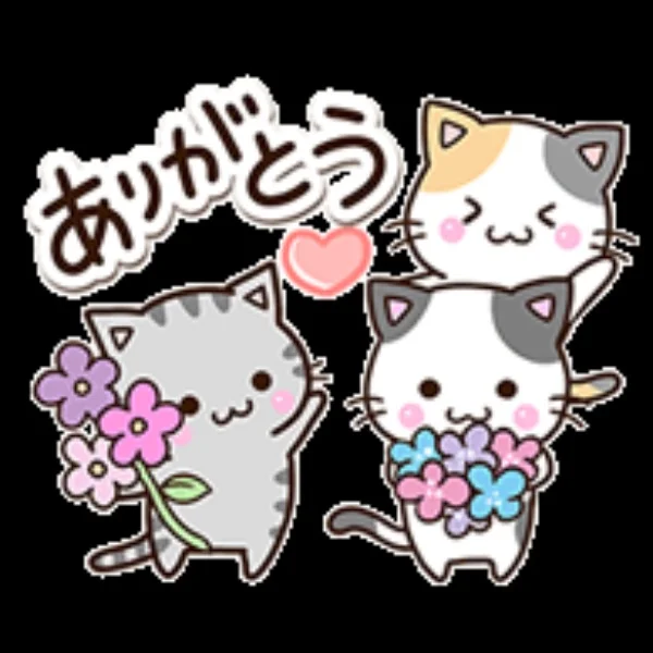 宜しくお願いします♡♡