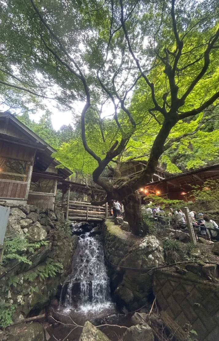 やっと週末〜🥹♡