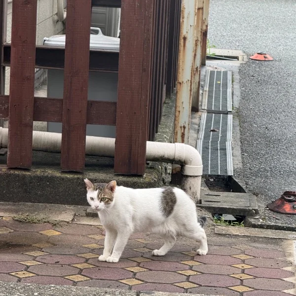 お気持ち表明♡