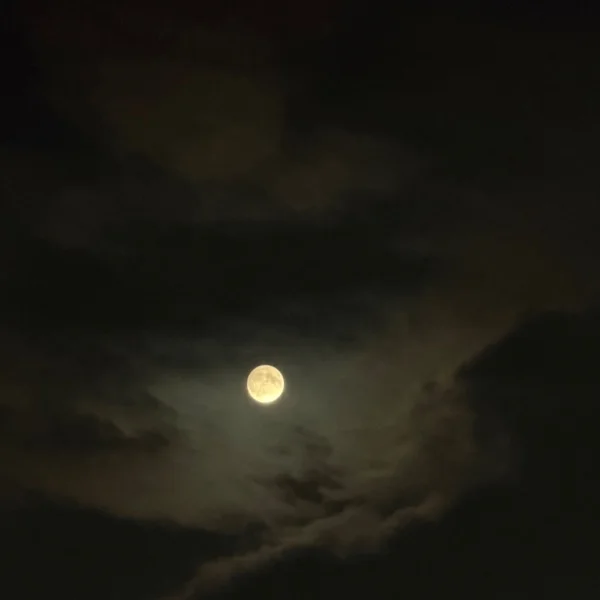 🌕🐇💕