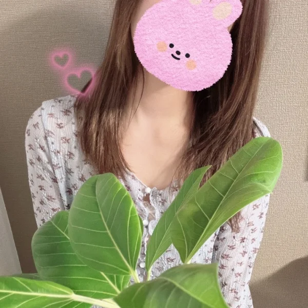 ゴムの木🌿