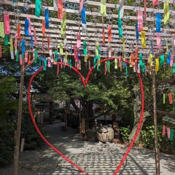 来週❣　2日間限定