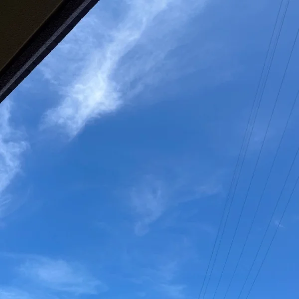 出勤🌞