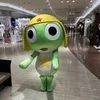 セラピスト募集であります🐸のサムネイル