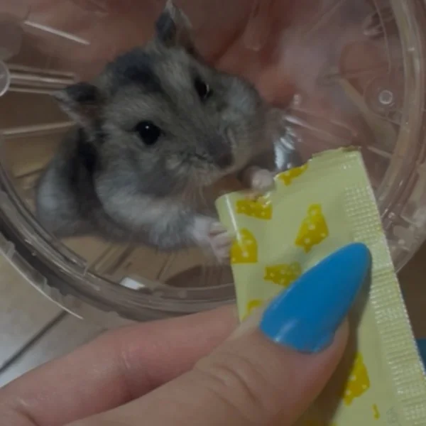 本日14:30~17:00までの時間のみご予約可能です💕