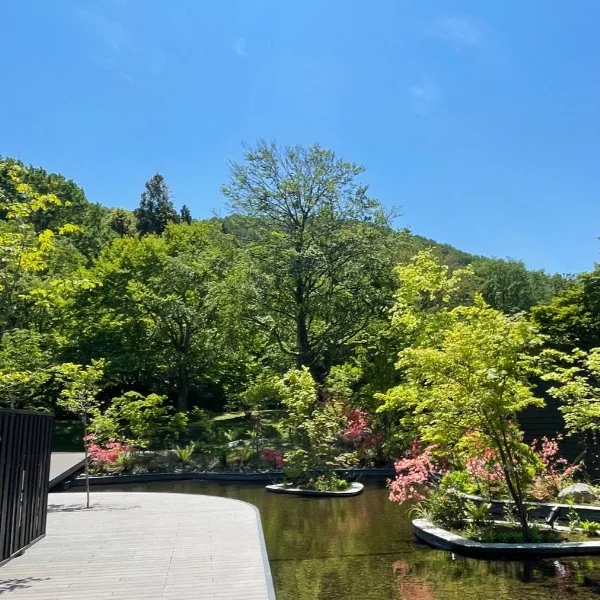 今日も暑くなりそうですね⤴︎☀️