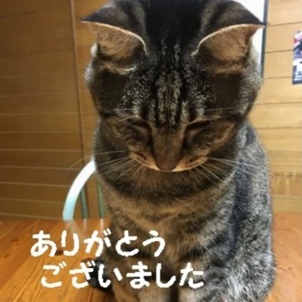 昨日は
