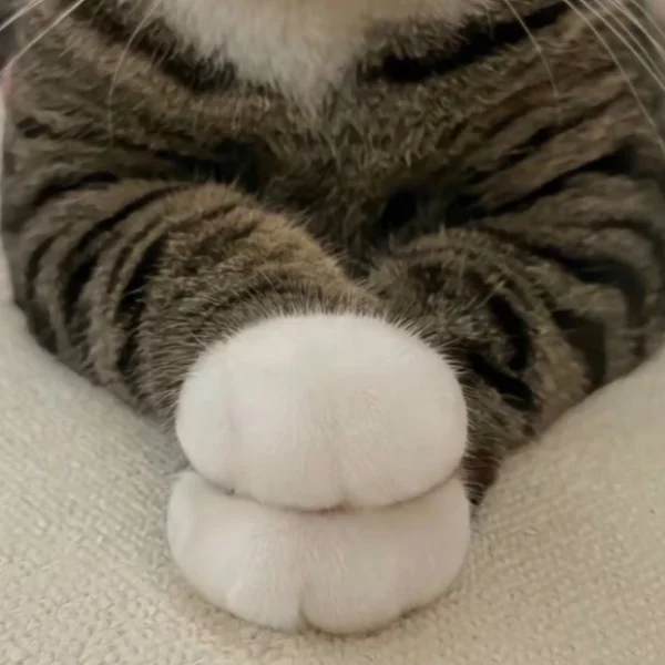 本日も18:30から