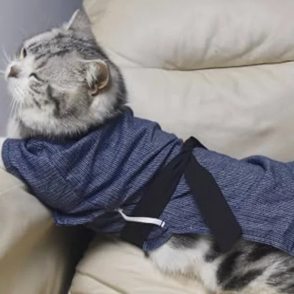 土曜日も🈵ありがとうございました♪