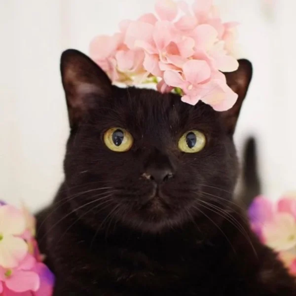昨日のお礼💌