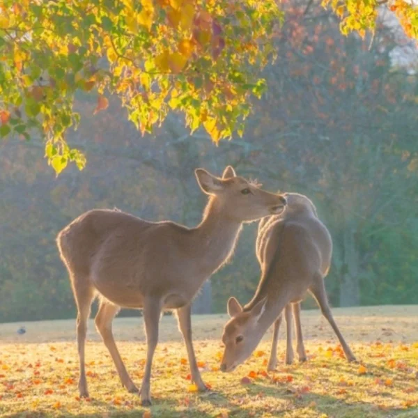 昨日のお礼💌
