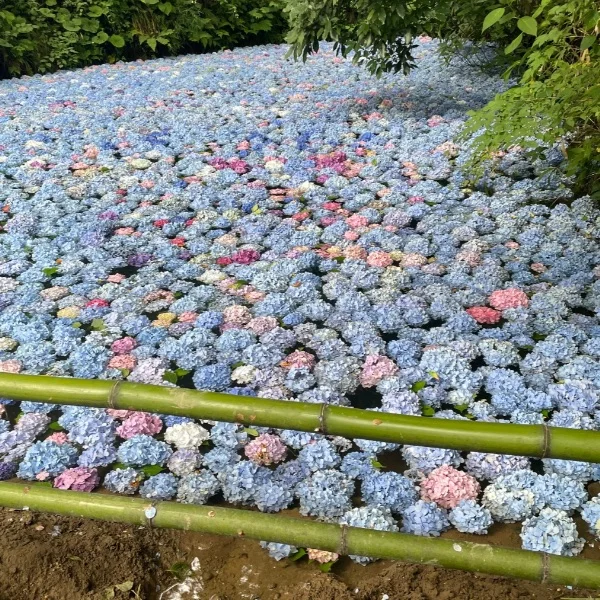 連休の最終日を一緒に過ごしてください🧸