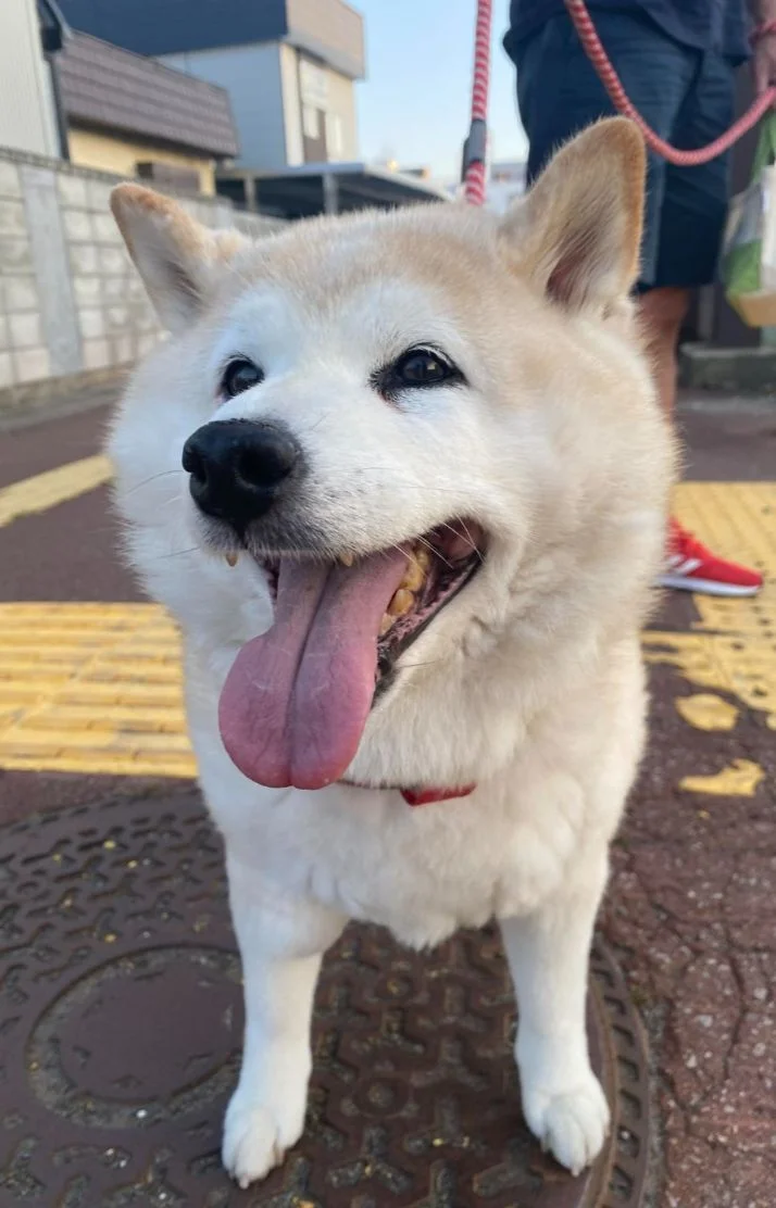 今週も頑張りましょう〜♪