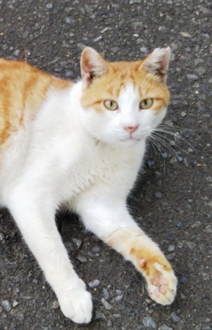 ありがとうございました😊
