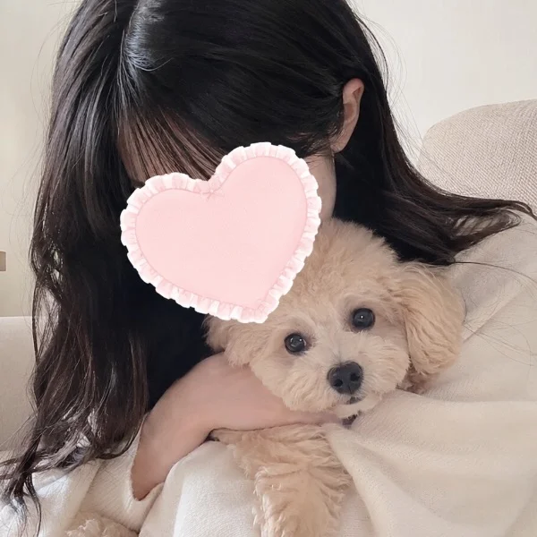 愛犬との戯れ