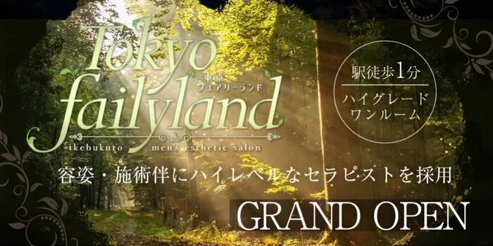 Tokyofairyland-東京フェアリーランドの求人募集イメージ2