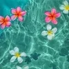 セラピストさん大募集🌞🌴✨のサムネイル