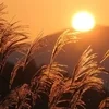 9月になりました🍁のサムネイル