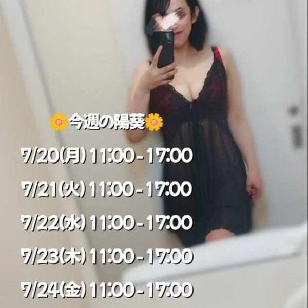 🌼今週の陽葵🌼