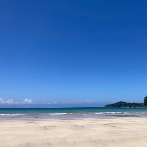 暑い日が続きますね☀️☀️☀️
