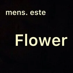 men'sエステflower