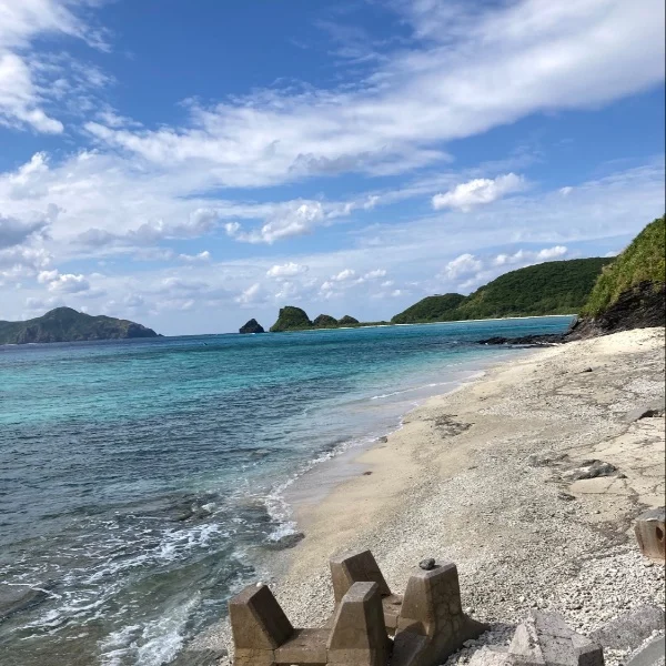 休日‪(  ◜ᴗ◝  )*°