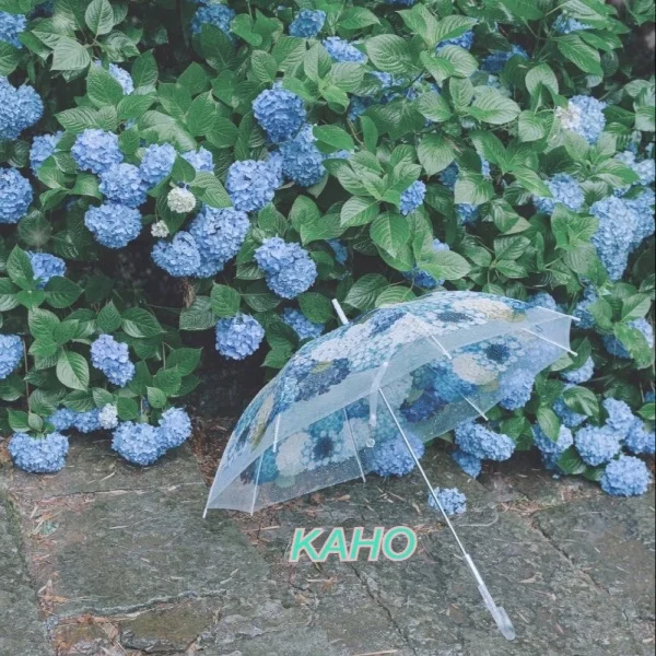 💝スケジュール