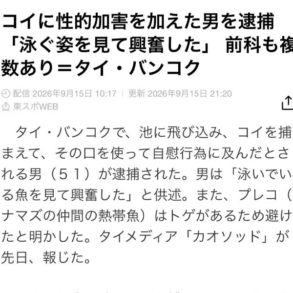 コイでフ⚪︎ラ