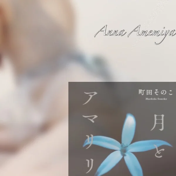 月とアマリリス