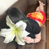 夢川 めい