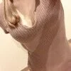 愛乃 けい