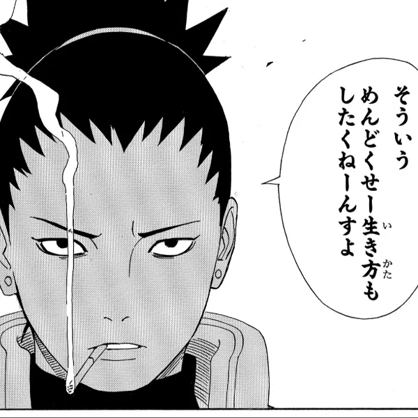 完売しました🈵🤍