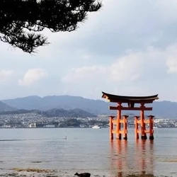 29日、30日のお礼