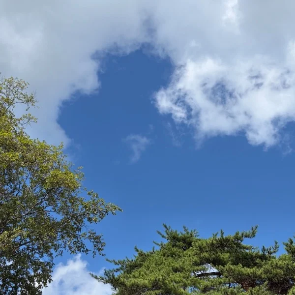 次の出勤は