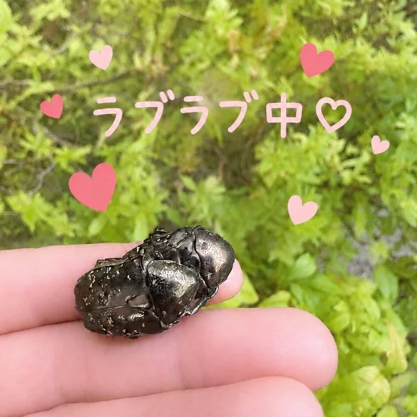 まり