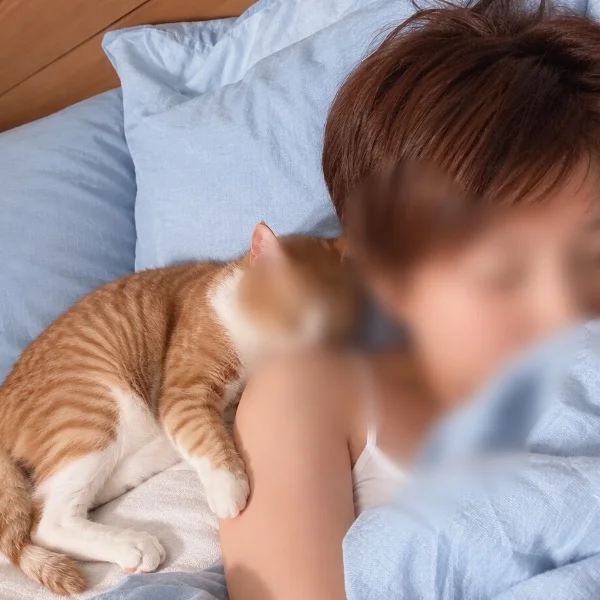 まり