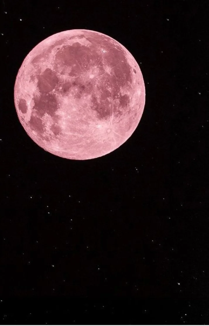 今日は新月🌙