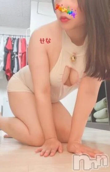 せな 甘え上手猫