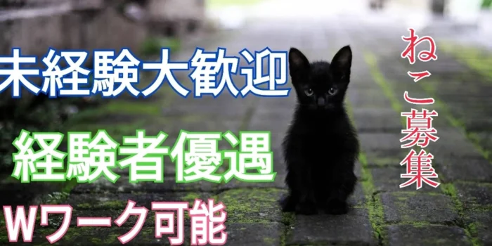 隠れ家えすて 猫時計の求人募集イメージ