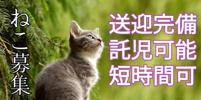隠れ家えすて　猫時計の求人募集イメージ2