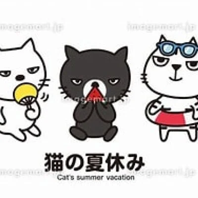 猫の夏休み♡♡♡9/2(水)再開！16時さくら♡18時まい♡
