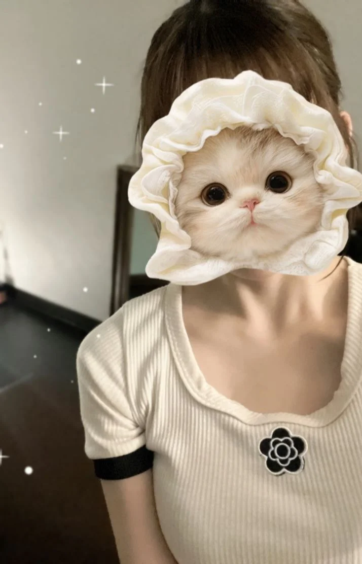 24:00から⭐️